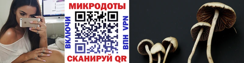 Галлюциногенные грибы прущие грибы  Шагонар 